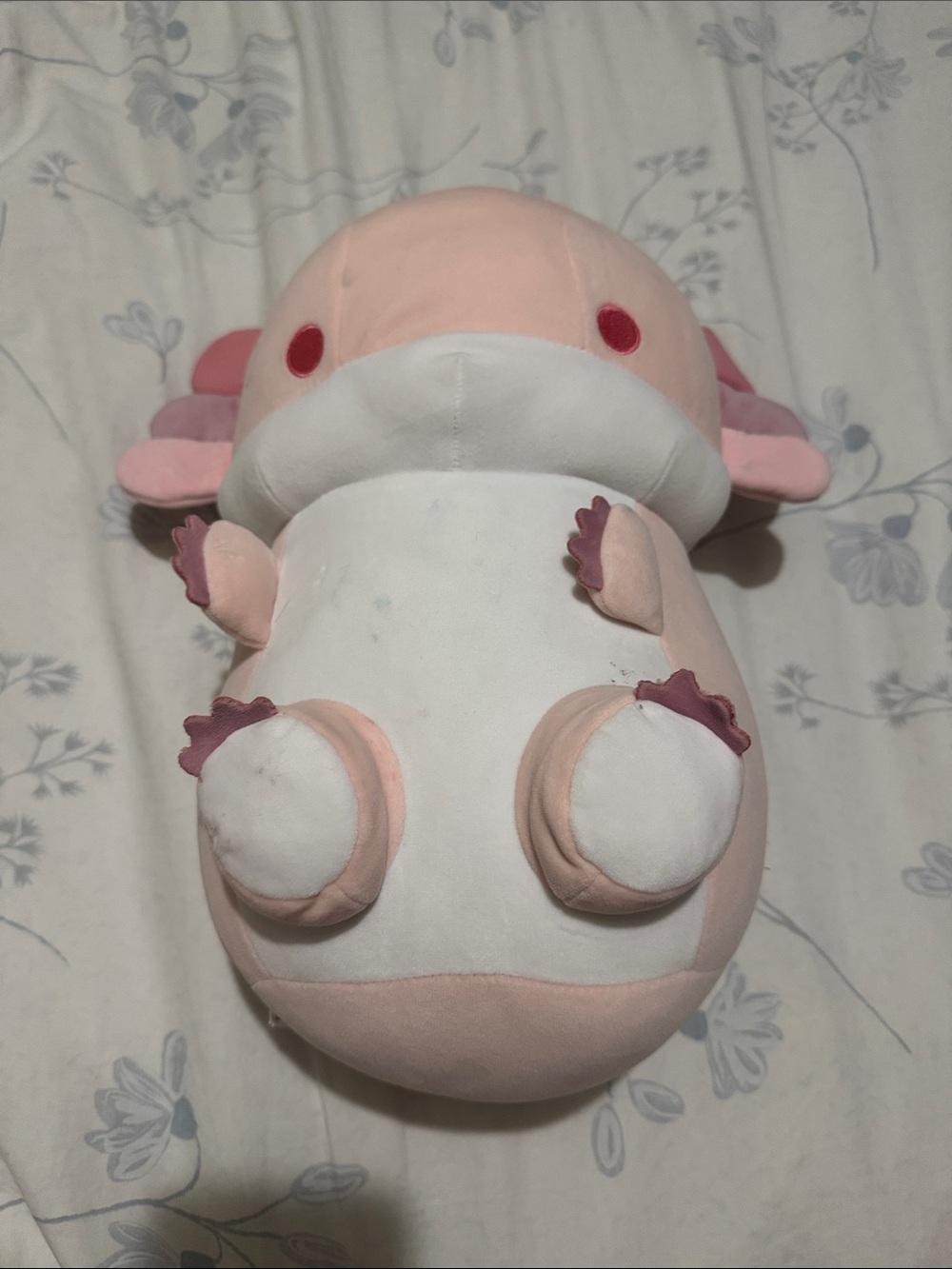 🧸Bellzi Lotti the Axolotl Plush